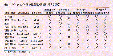 表1.バイオタイプの耐虫性品種・系統に対する反応