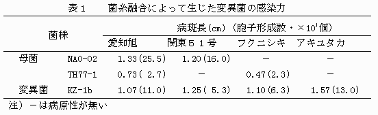 表1.菌糸融合によって生じた変異菌の感染力