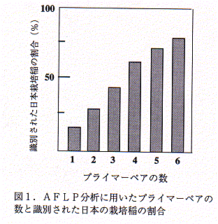 図1.AFLP分析に用いたプライマーペアの数と識別された日本の栽培稲の割合