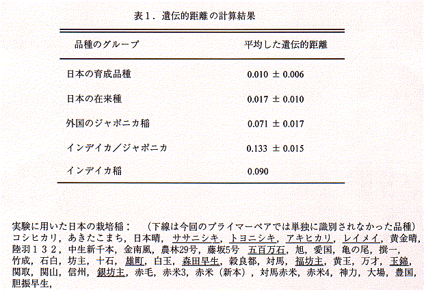 表1.遺伝的距離の計算結果