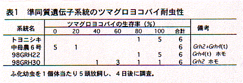 表1.準同質遺伝子系統のツマグロヨコバイ耐虫性