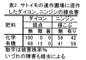 表2:サトイモの連作圃場に混作したダイコン、ニンジンの線虫害