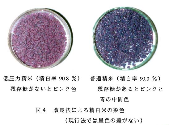 図4:改良法による精白米の染色(現行法では呈色の差がない) 