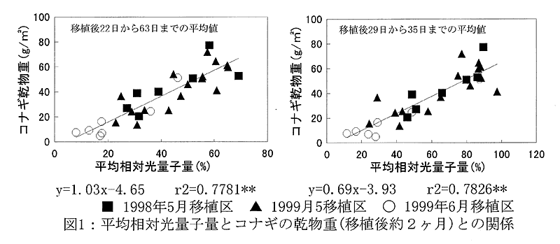 図1:平均相対光量子量とコナギの乾物重(移植後約2ヶ月)との関係
