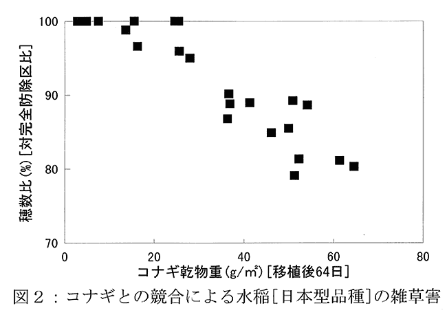 図2:コナギとの競合による水稲[日本型品種]の雑草害
