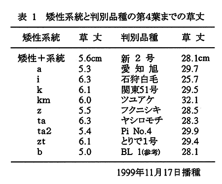 表1:矮性系統と判別品種の第4葉までの草丈 