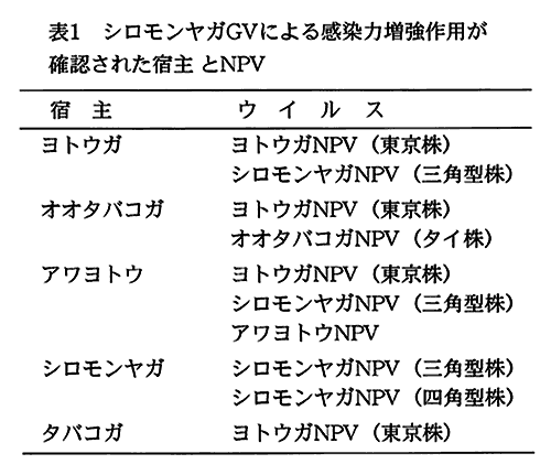 表1:シロモンヤガGVによる感染力増強作用が確認された宿主 とNPV