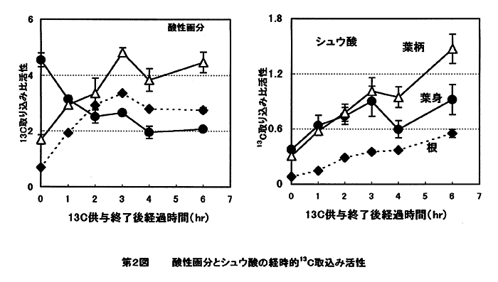 図2:酸性画分とシュウ酸の経時的13C取込み活性