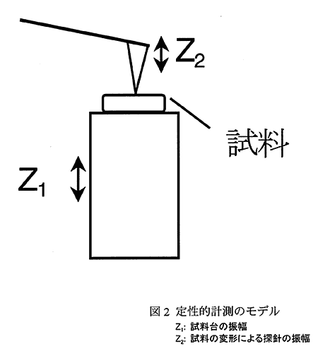 図2 定性的計測のモデル Z1: 試料台の振幅 Z2: 試料の変形による探針の振幅 