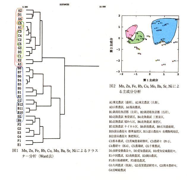 図1 Mn,Zn,Fe,Rb,Cu,Mo,Ba,Sr,Niによるクラスター分析