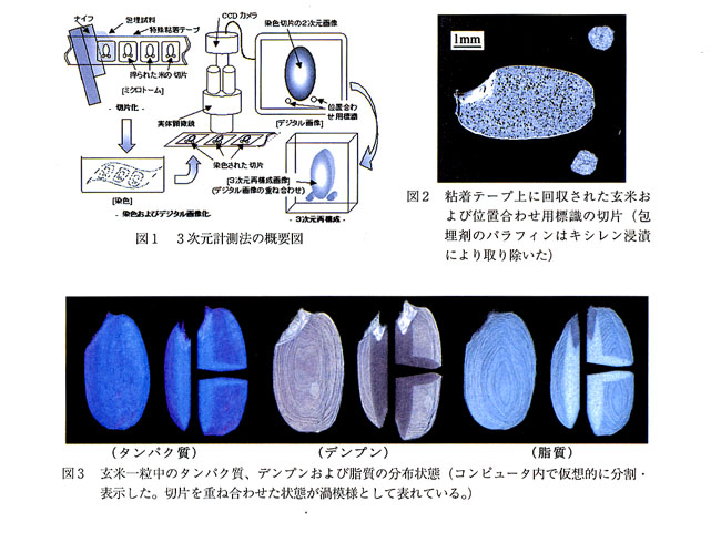 図1 3次元計測法の概要図