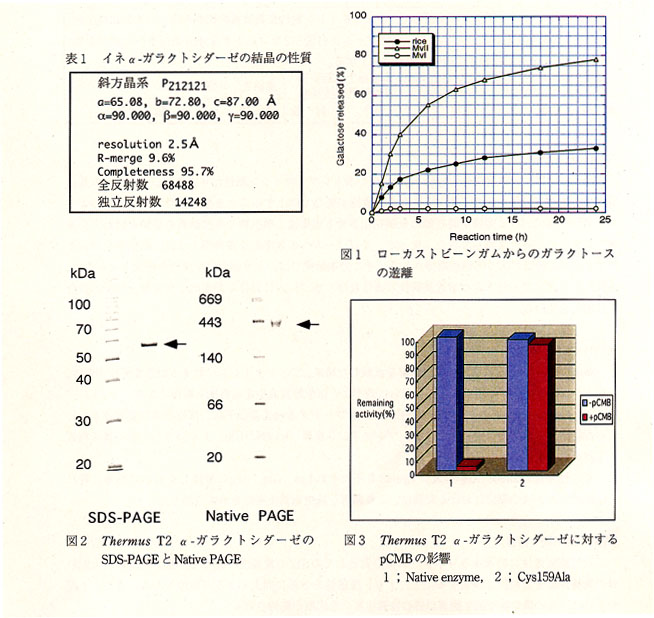 表1 イネα-ガラクトシダーゼの結晶の特性