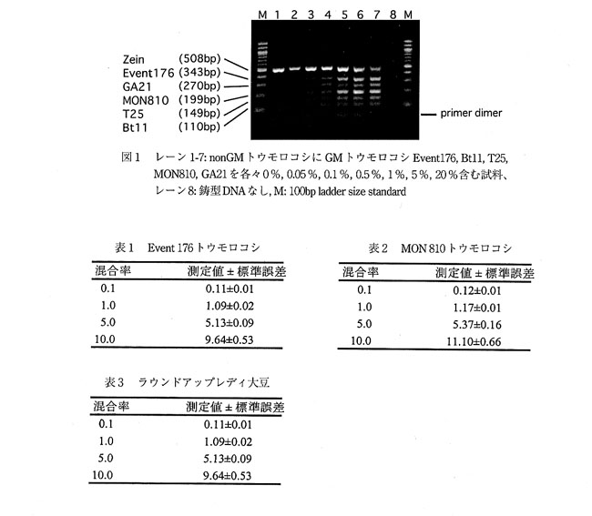 表1 Event176トウモロコシ