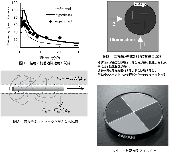 図1 粘度と細菌遊泳速度の関係