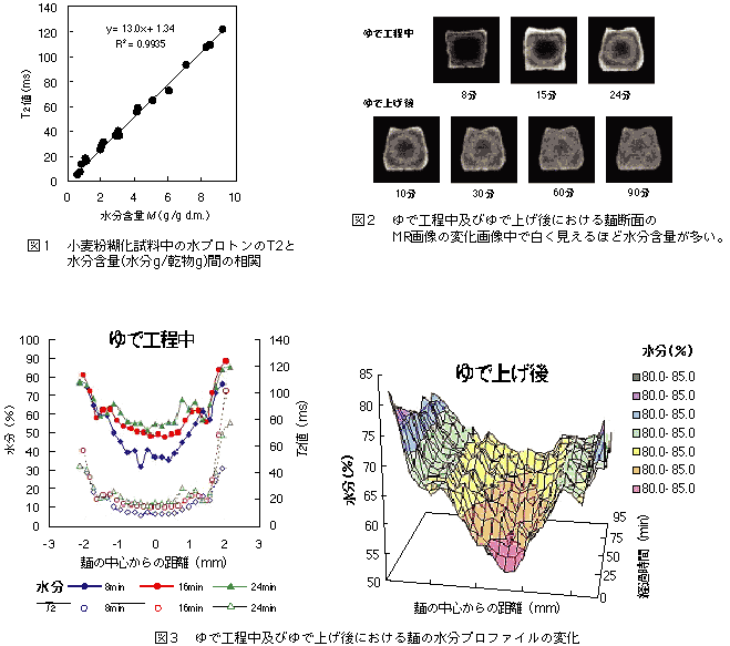 図1 小麦粉糊化試料中の水プロトンのT2と水分含量(水分g/乾物g)間の相関