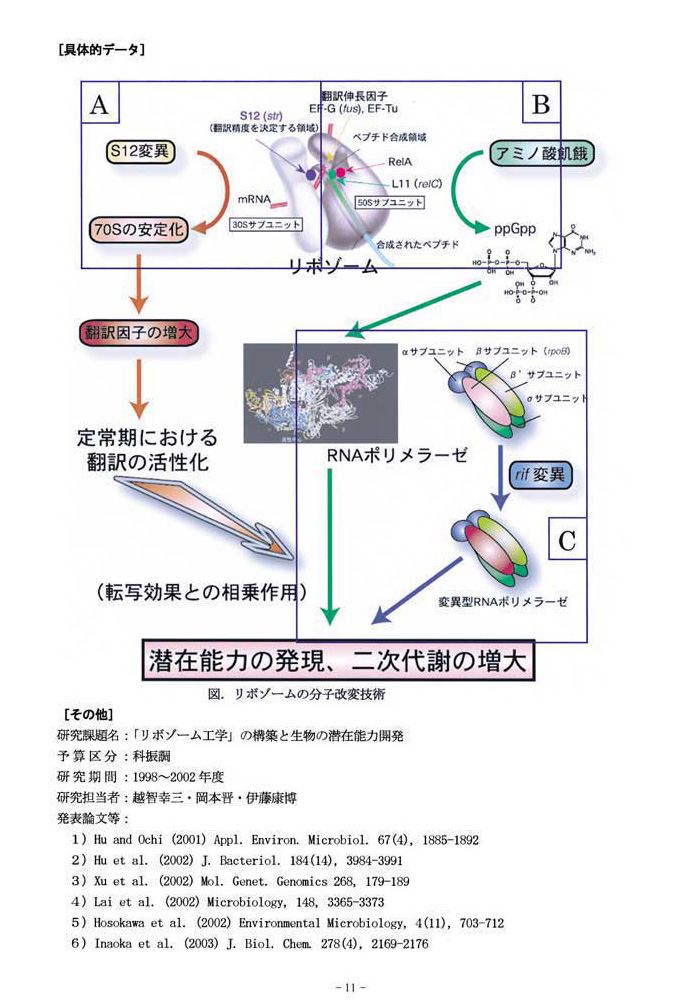 リボゾームの工学的改良手法の開発とその有効性の証明 2
