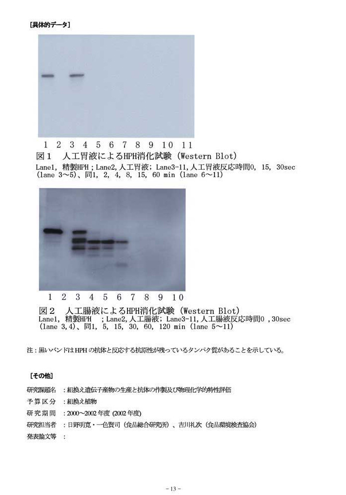 組換え体選抜マーカーハイグロマイシン耐性遺伝子産物の安全性評価 2