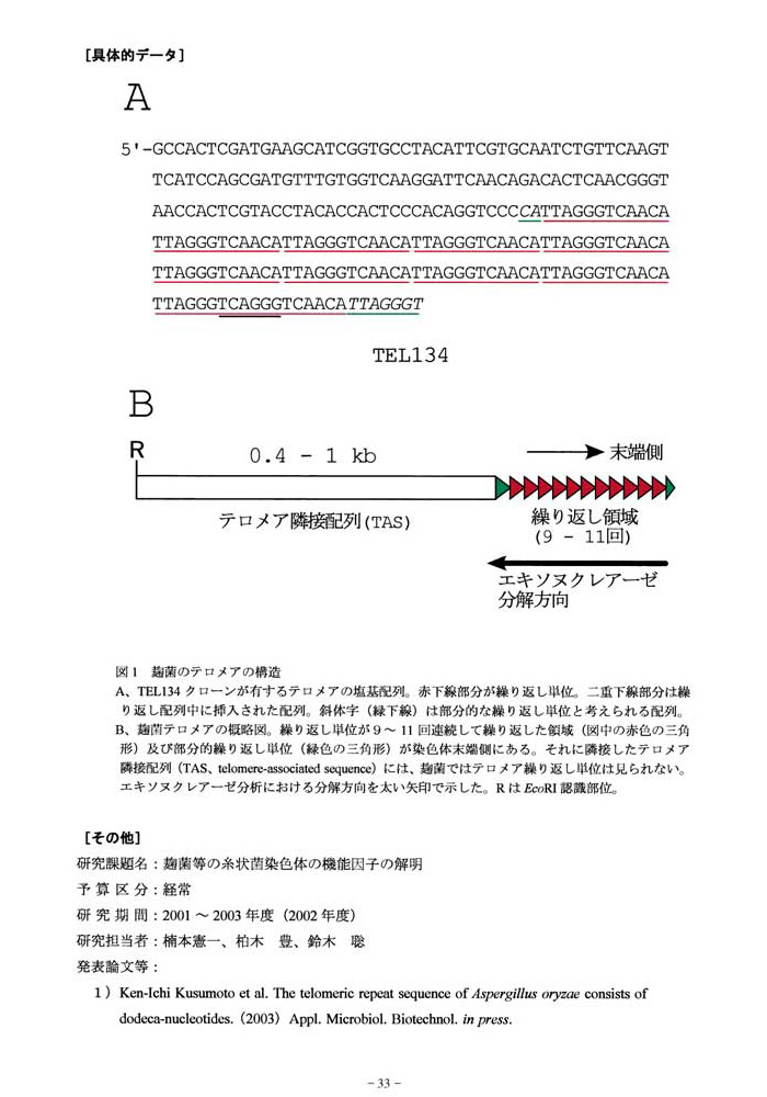 麹菌Aspergillus oryzaeのテロメアが持つ新しい繰り返し配列2