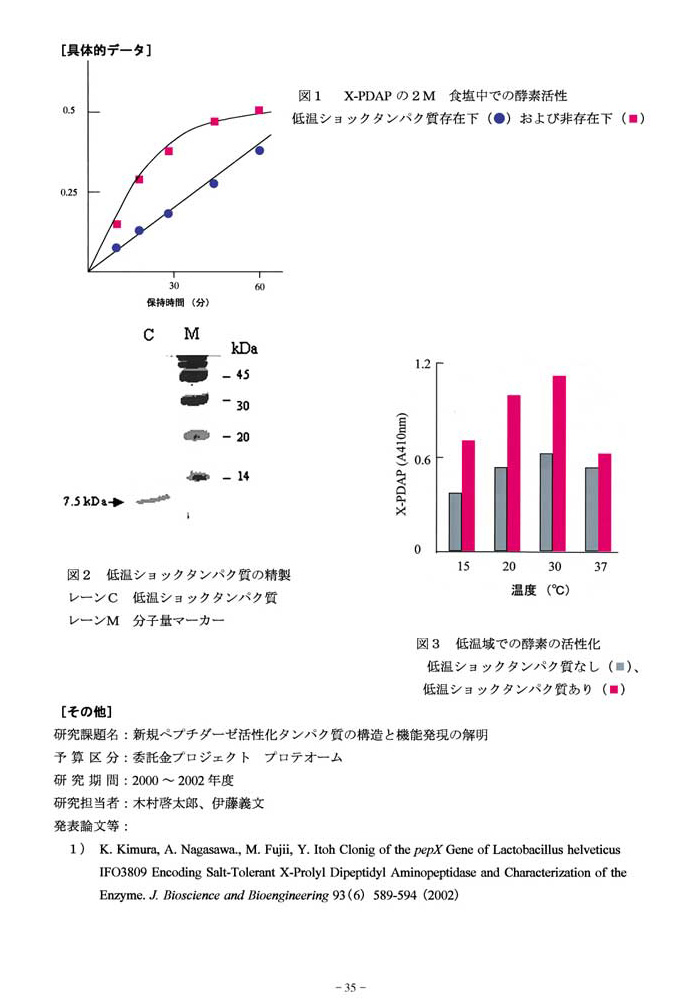 乳酸菌が生産する低温ショックタンパク質2