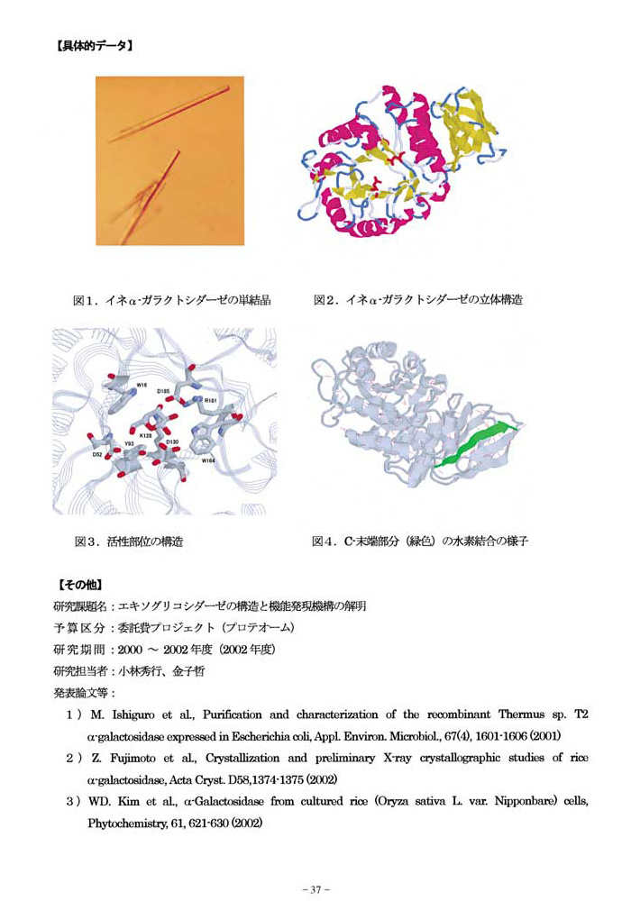 α-ガラクトシダーゼの構造と反応機構2