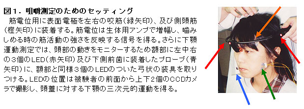 図1.咀嚼測定のためのセッティング