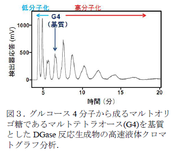 図3.グルコース4分子から成るマルトオリゴ糖であるマルトテトラオース(G4)を基質としたDGase反応生成物の高速液体クロマトグラフ分析.