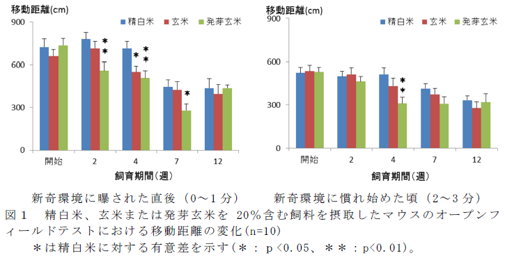 図1 精白米、玄米または発芽玄米を20%含む飼料を摂取したマウスのオープンフィールドテストにおける移動距離の変化(n=10)   *は精白米に対する有意差を示す(*:p<0.05、**:p<0.01)