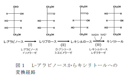 図1 L-アラビノースからキシリトールへの変換経路