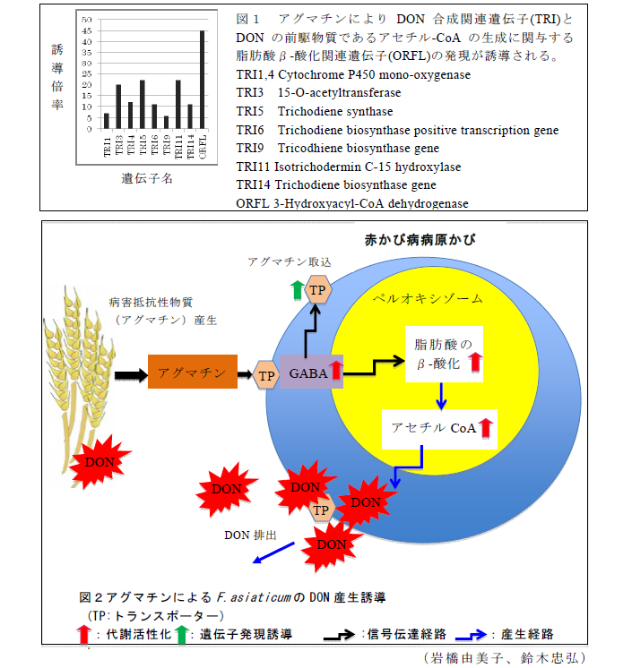 図1～2