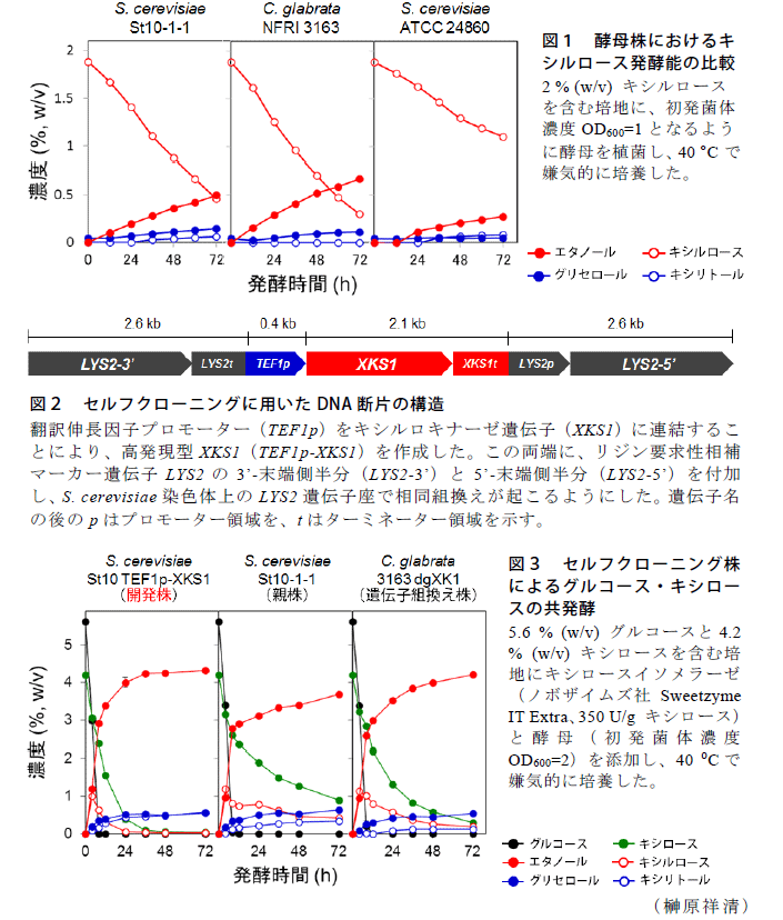 図1～3