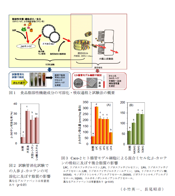 図1～3