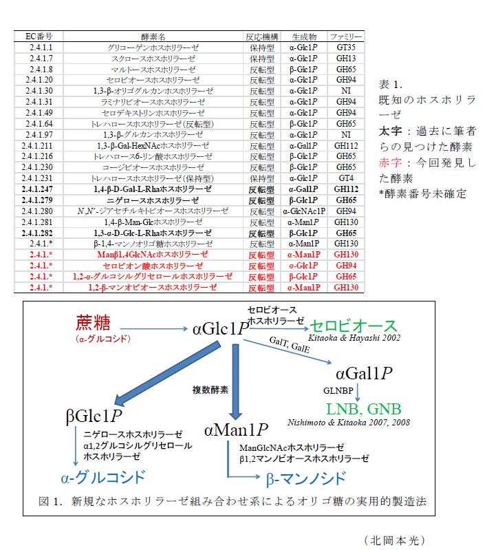 図1,表1