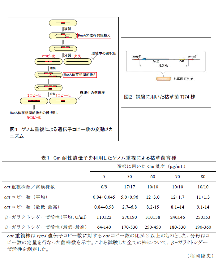 図1～2,表1