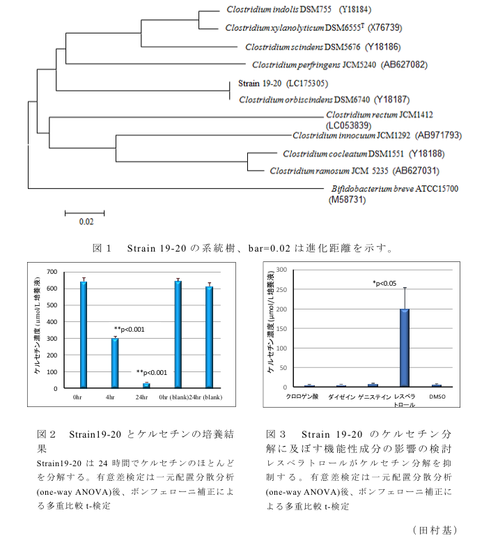 図1 Strain19-20の系統樹、bar=0.02は進化距離を示す?図2 Strain19-20とケルセチンの培養結果?図3 Strain19-20のケルセチン分解に及ぼす機能性成分の影響の検討