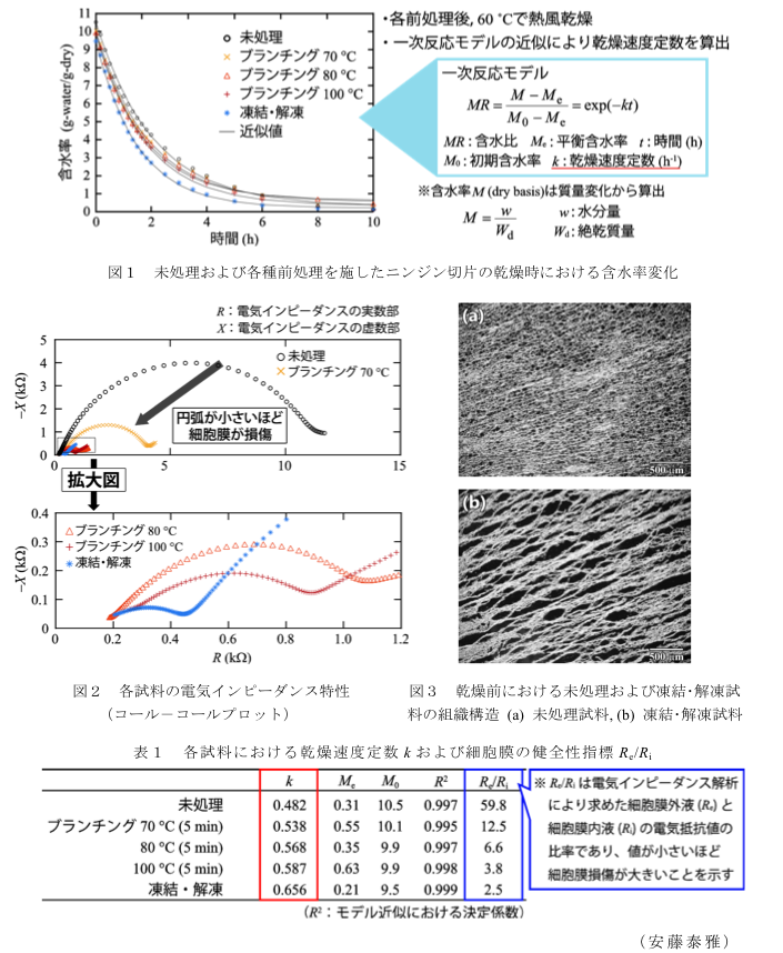 図1 未処理および各種前処理を施したニンジン切片の乾燥時における含水率変化?図2 各試料の電気インピーダンス特性(コール-コールプロット)?図3 乾燥前における未処理および凍結・解凍試料の組織構(a)未処理試料,(b)凍結・解凍試料?表1 各試料における乾燥度定数kおよび細胞膜の健全性指標Re/Ri