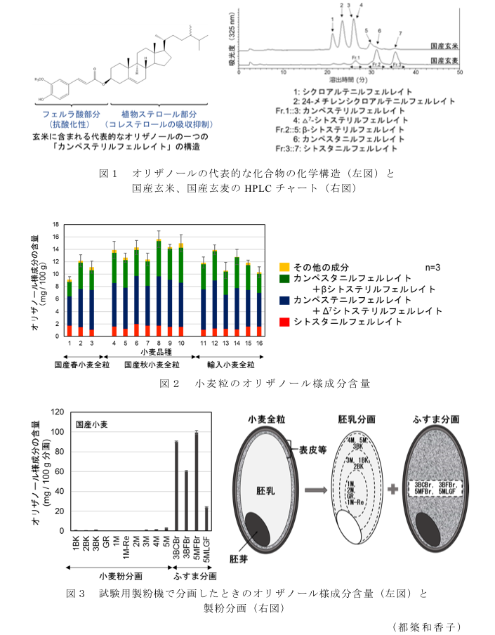 図1 オリザノールの代表的な化合物の化学構(左図)と国産玄米、国産玄麦のHPLCチャート(右図)?図2 小麦粒のオリザノール様成分含量?図3 試験用製粉機で分画したときのオリザノール様成分含量(左図)と製粉分画(右図)