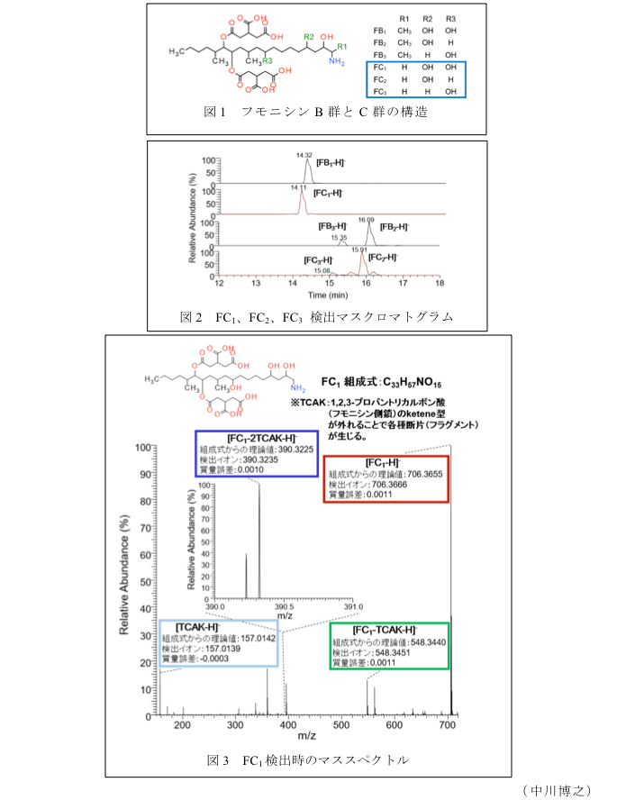 図1 フモニシンB群とC群の構造?図2 FC1、FC2、FC3検出マスクロマトグラム?図3 FC1検出時のマススペクトル