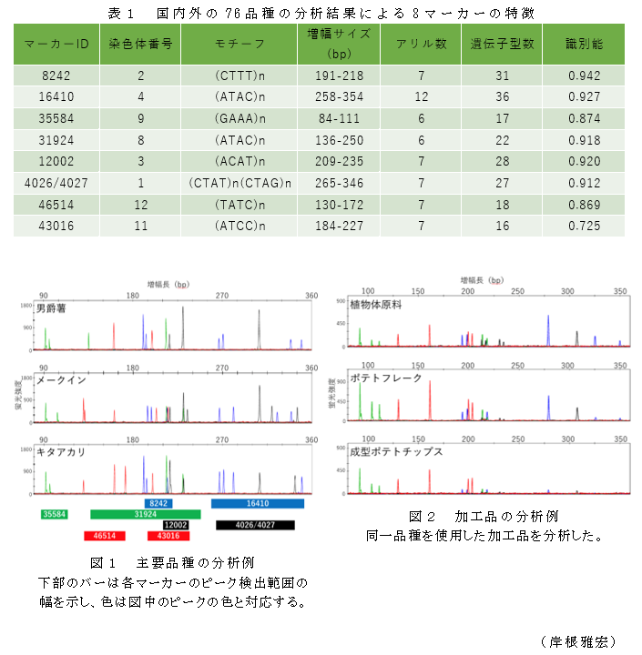 表1 国内外の76品種の分析結果による8マーカーの特徴;図1 主要品種の分析例;図2 加工品の分析例