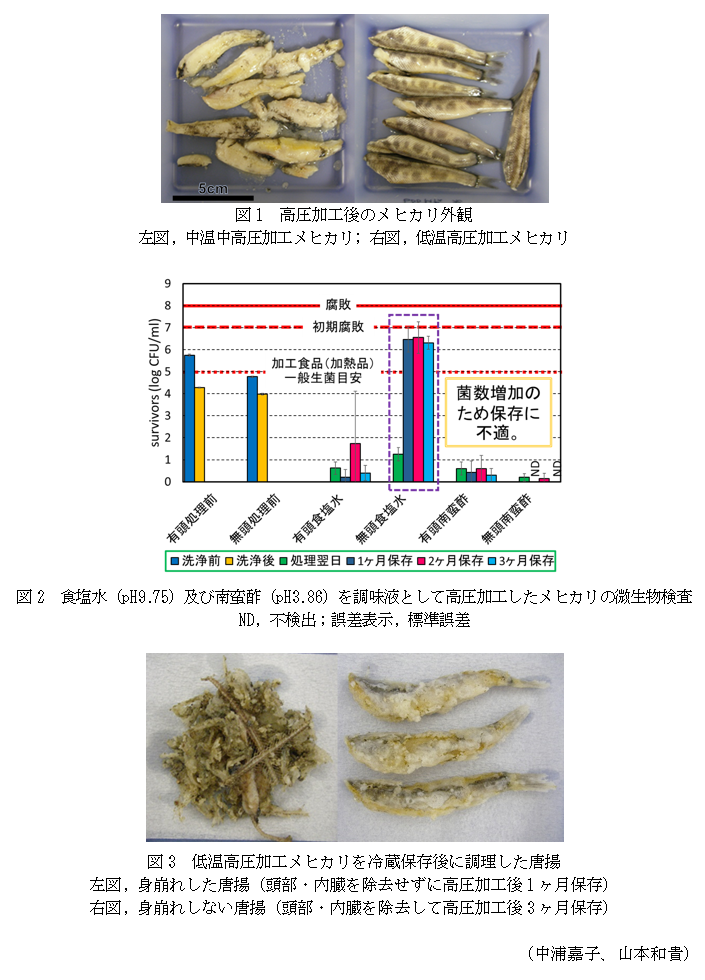 図1 高圧加工後のメヒカリ外観,図2 食塩水(pH9.75)及び南蛮酢(pH3.86)を調味液として高圧加工したメヒカリの微生物検査,図3 低温高圧加工メヒカリを冷蔵保存後に調理した唐揚