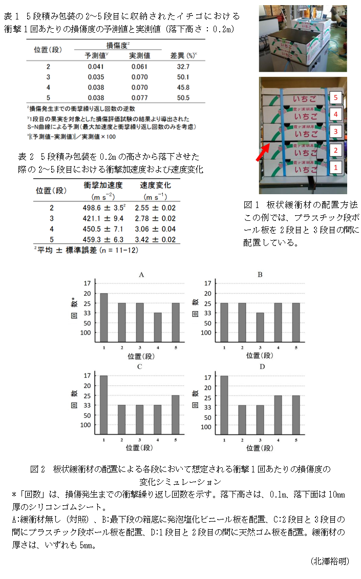 海外限定 イチゴ輸送中の衝撃解析と損傷発生予測 イチゴ自殖実生を用いた後代検定による炭疽病抵抗性評価法開発 ほか 