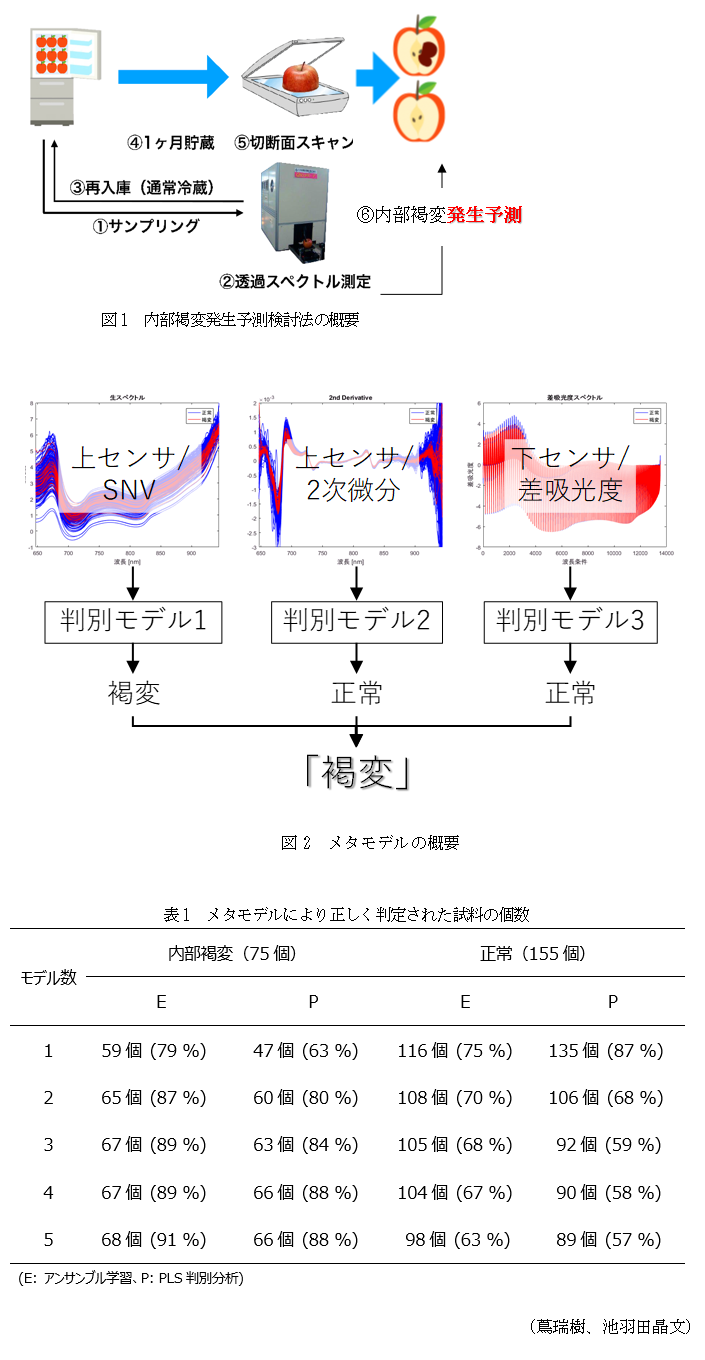 図1 内部褐変発生予測検討法の概要,図2 メタモデルの概要,表1 メタモデルにより正しく判定された試料の個数