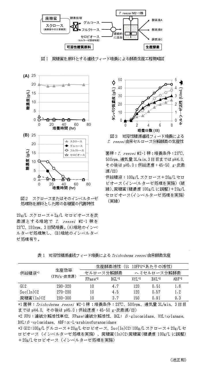 図1 廃糖蜜を原料とする連続フィード培養による酵素生産工程概略図,図2 スクロースまたはそのインベルターゼ処理物を原料とした際の各糖質の代謝特性,図3 可溶性糖源連続フィード培養によるT. reesei由来セルロース分解酵素の生産性,表1 可溶性糖源連続フィード培養によるTrichoderma reesei由来酵素生産