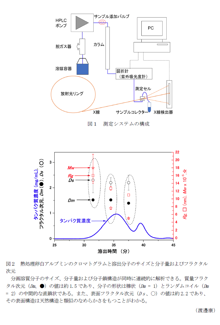 図1 測定システムの構成,図2 熱処理卵白アルブミンのクロマトグラムと溶出分子のサイズと分子量およびフラクタル次元