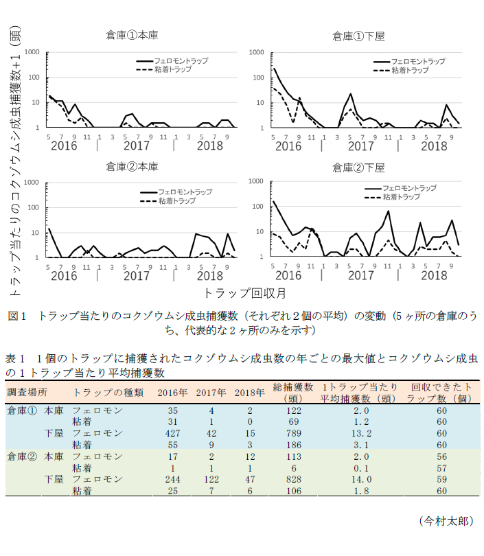 図1 トラップ当たりのコクゾウムシ成虫捕獲数(それぞれ2個の平均)の変動,表1 1個のトラップに捕獲されたコクゾウムシ成虫数の年ごとの最大値とコクゾウムシ成虫の1トラップ当たり平均捕獲数