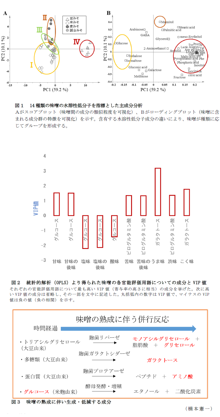 図1 14種類の味噌の水溶性低分子を指標とした主成分分析,図2 統計的解析(OPLS)より得られた味噌の各官能評価用語についての成分とVIP値,図3 味噌の熟成に伴い生成・低減する成分