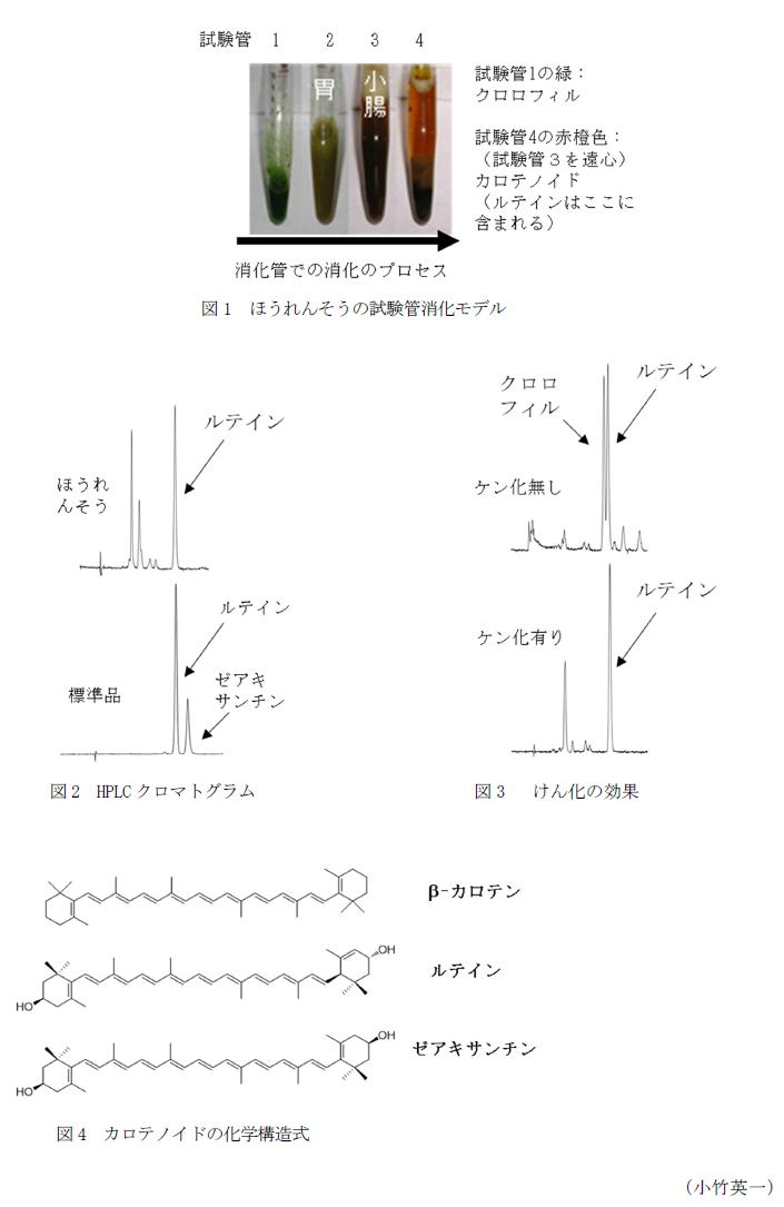 図1 ほうれんそうの試験管消化モデル,図2 HPLCクロマトグラム,図3  けん化の効果,図4 カロテノイドの化学構造式