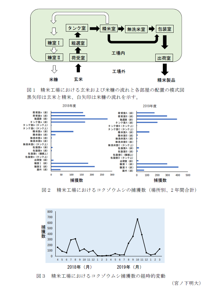 図1 精米工場における玄米および米糠の流れと各部屋の配置の模式図,図2 精米工場におけるコクゾウムシの捕獲数(場所別、2年間合計),図3 精米工場におけるコクゾウムシ捕獲数の経時的変動