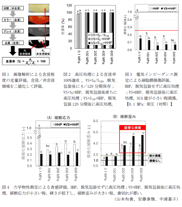 図1 画像解析による含浸程度の定量評価。含浸/非含浸領域を二値化して評価。,図2 高圧処理による含浸率100 %達成 。VS+S0/S120, 脱気包装後に0/120分間保存;VS+S0+HHP, 脱気包装後直ちに高圧処理;VS+S120+HHP, 脱気包装120分間後に高圧処理。,図3 電気インピーダンス測定による細胞膜損傷評価。HHP, 脱気包装せずに高圧処理;VS+HHP, 脱気包装後に高圧処理。SCA値が小さい程損傷。
【0.1 MPa: 常圧(対照)】,図4 力学物性測定による食感評価。HHP, 脱気包装せずに高圧処理;VS+HHP, 脱気包装後に高圧処理。破断応力が小さい程、硬さが低下し、破断歪みが大きい程、歯切れが悪い。