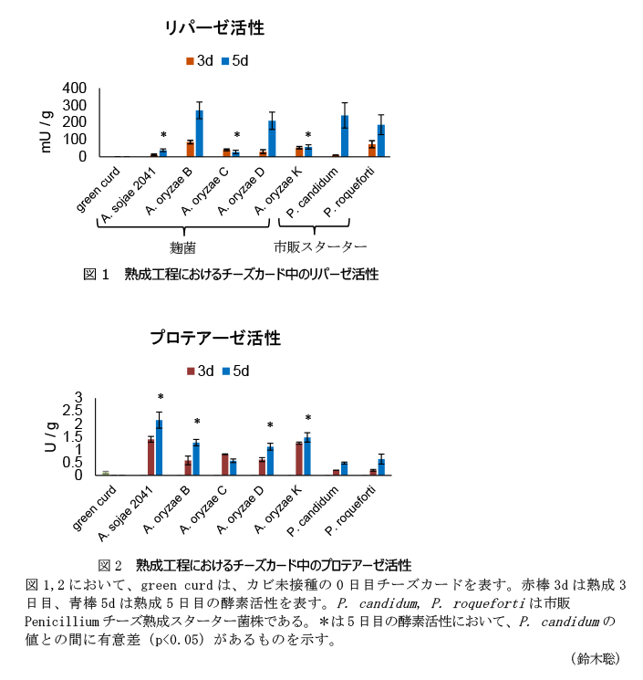 図1 熟成工程におけるチーズカード中のリパーゼ活性,図1,2において、green curdは、カビ未接種の0日目チーズカードを表す。赤棒3dは熟成3日目、青棒5dは熟成5日目の酵素活性を表す。P. candidum, P. roquefortiは市販Penicilliumチーズ熟成スターター菌株である。*は5日目の酵素活性において、P. candidumの値との間に有意差(p<0.05)があるものを示す。