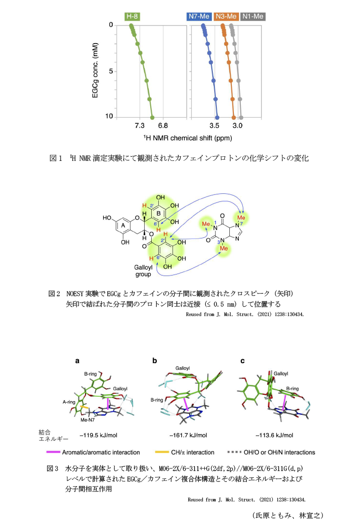 図1 1H NMR滴定実験にて観測されたカフェインプロトンの化学シフトの変化,図2 NOESY実験でEGCgとカフェインの分子間に観測されたクロスピーク(矢印)矢印で結ばれた分子間のプロトン同士は近接(≤ 0.5 nm)して位置する,図3 水分子を実体として取り扱い、M06-2X/6-311++G(2df,2p)//M06-2X/6-311G(d,p)レベルで計算されたEGCg/カフェイン複合体構造とその結合エネルギーおよび分子間相互作用